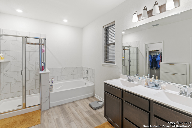 Image 13 of 22 For 5714 Agave Spine