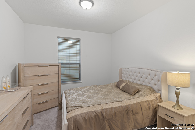 Image 15 of 22 For 5714 Agave Spine