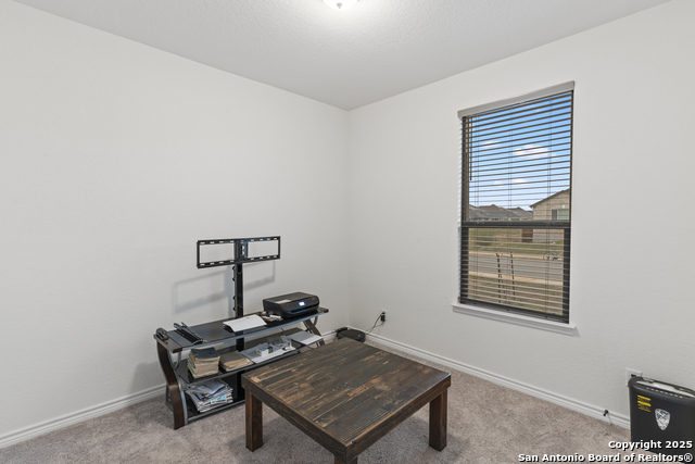 Image 16 of 22 For 5714 Agave Spine