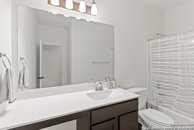 Image 17 of 22 For 5714 Agave Spine