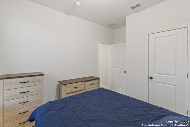 Image 18 of 22 For 5714 Agave Spine