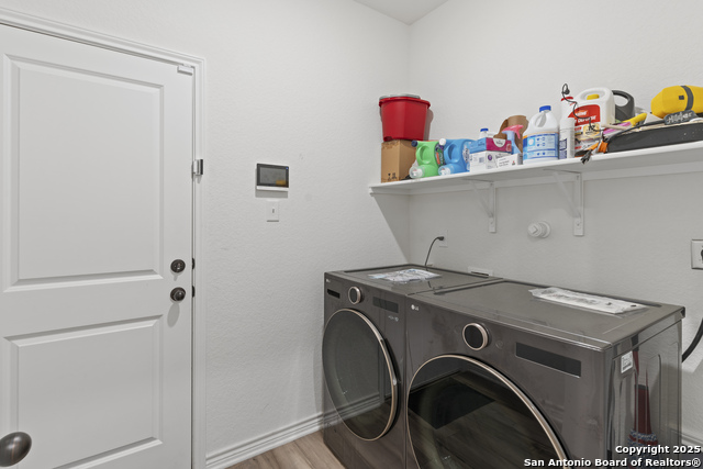 Image 19 of 22 For 5714 Agave Spine