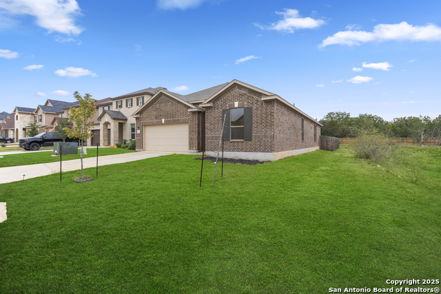 Image 2 of 22 For 5714 Agave Spine