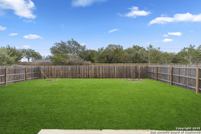 Image 21 of 22 For 5714 Agave Spine