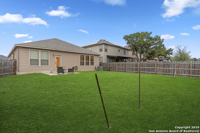 Image 22 of 22 For 5714 Agave Spine