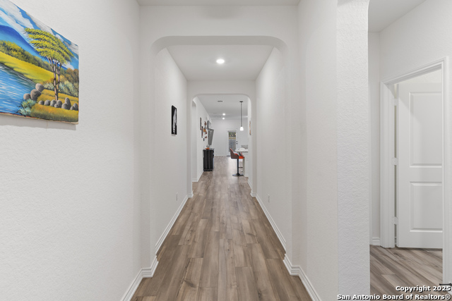 Image 3 of 22 For 5714 Agave Spine