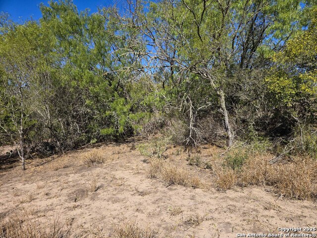 Image 14 of 21 For 00 Cr 123