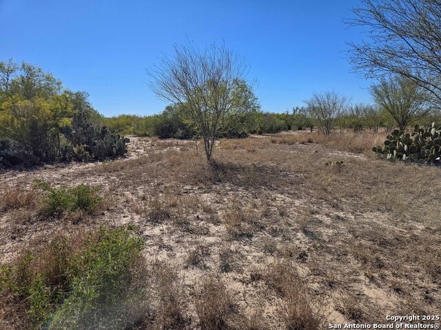 Image 16 of 21 For 00 Cr 123