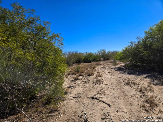 Image 17 of 21 For 00 Cr 123