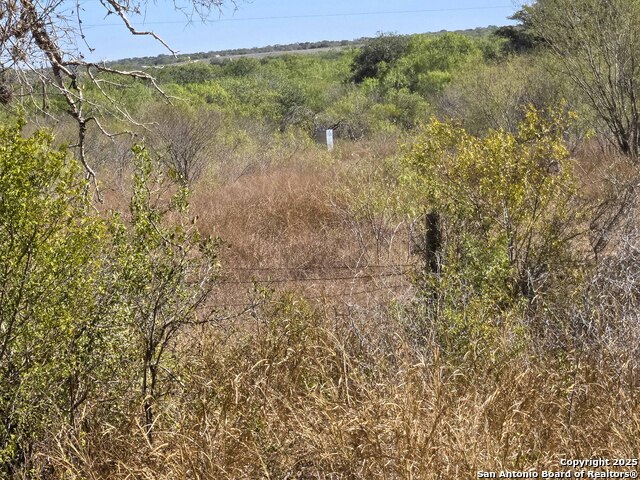 Image 8 of 21 For 00 Cr 123