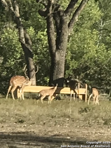 Image 17 of 48 For 3100 Ranch Road 2631