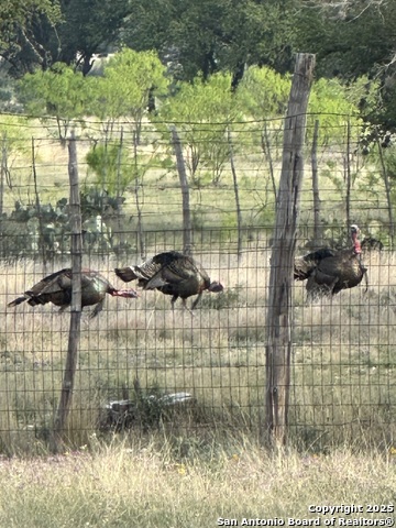 Image 18 of 48 For 3100 Ranch Road 2631