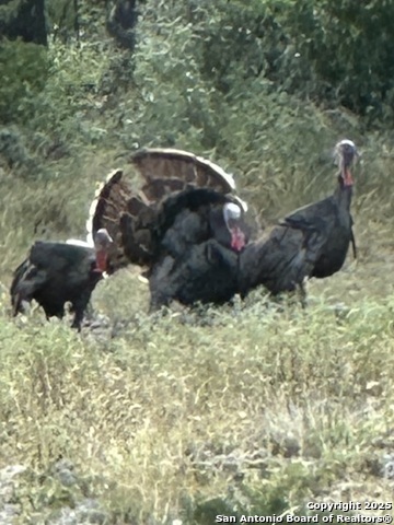 Image 20 of 48 For 3100 Ranch Road 2631