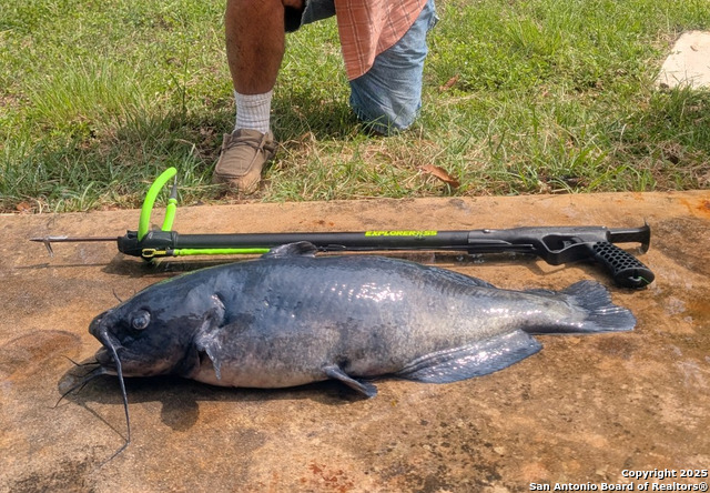 Image 25 of 48 For 3100 Ranch Road 2631