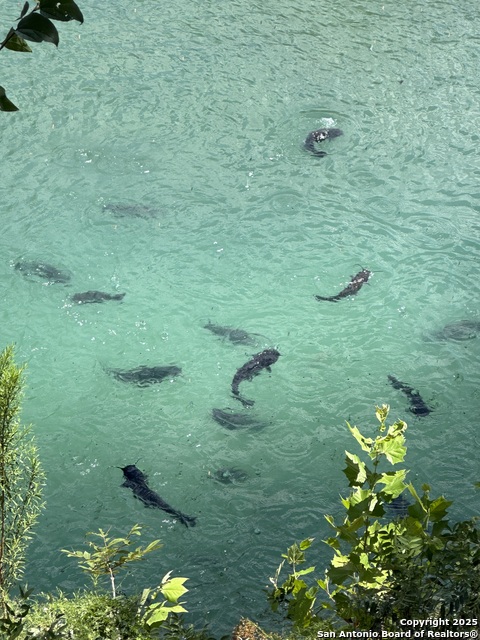 Image 5 of 48 For 3100 Ranch Road 2631