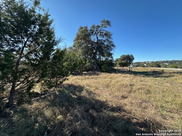 Image 4 of 17 For 559 (lot 1680) Curvatura