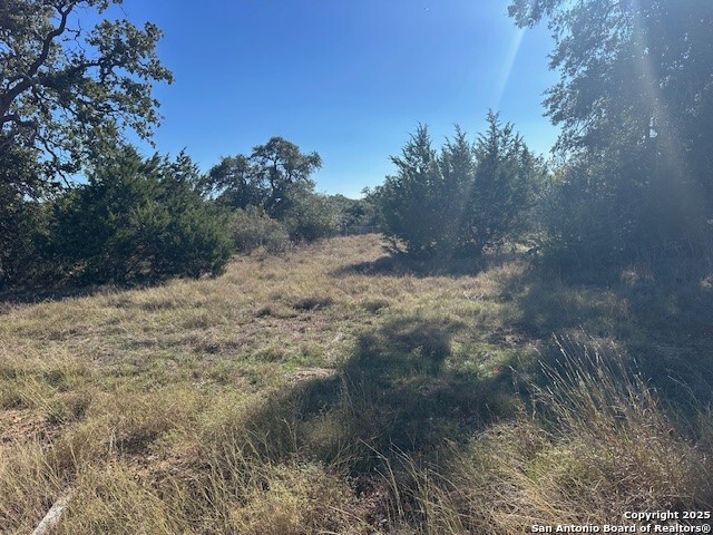 Image 5 of 17 For 559 (lot 1680) Curvatura