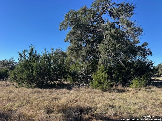 Image 6 of 17 For 559 (lot 1680) Curvatura