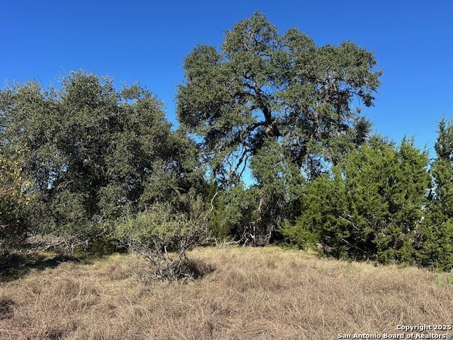 Image 7 of 17 For 559 (lot 1680) Curvatura