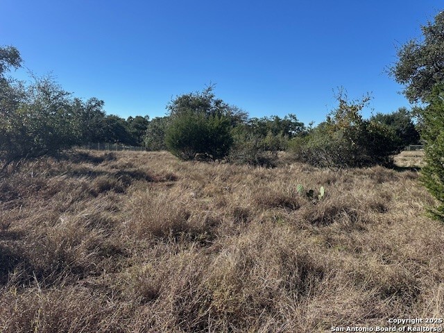 Image 8 of 17 For 559 (lot 1680) Curvatura