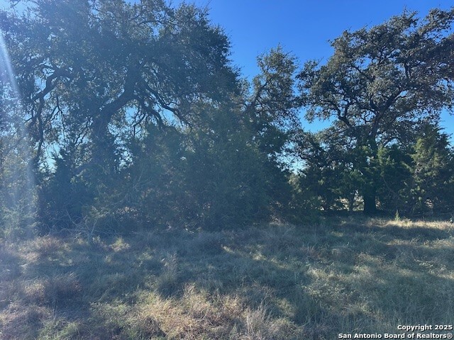 Image 9 of 17 For 559 (lot 1680) Curvatura