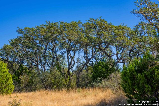 Listing photo id 18 for 852 Sd #24755