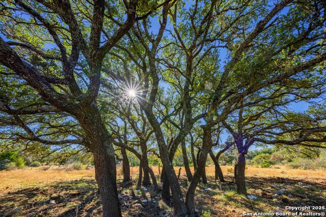 Listing photo id 19 for 852 Sd #24755