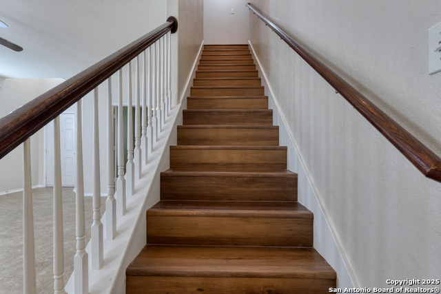 Image 24 of 42 For 116 Summer Tanager