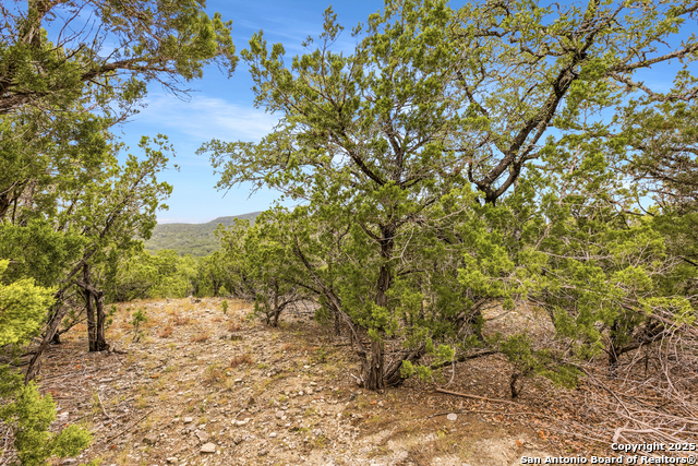 Image 11 of 18 For Lot 3 Hills Of Bandera