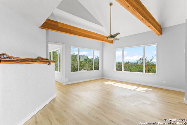 Image 19 of 27 For 1676 Cattail