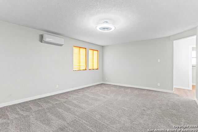 Image 21 of 27 For 1676 Cattail