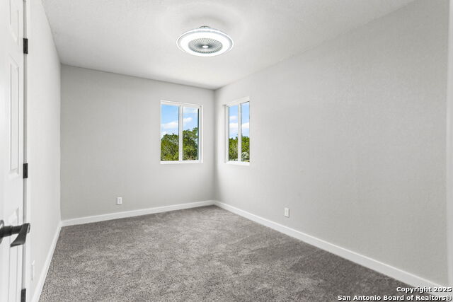 Image 23 of 27 For 1676 Cattail