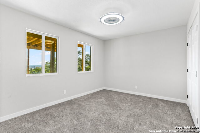 Image 24 of 27 For 1676 Cattail