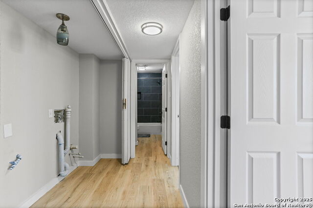 Image 25 of 27 For 1676 Cattail