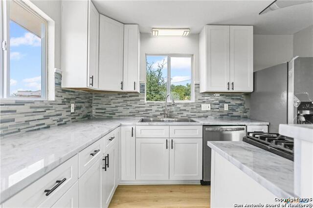 Image 6 of 27 For 1676 Cattail