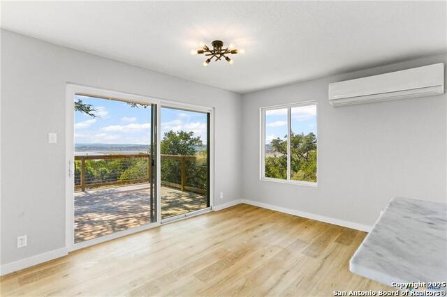 Image 8 of 27 For 1676 Cattail