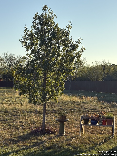 Image 17 of 26 For 465 Double Gate