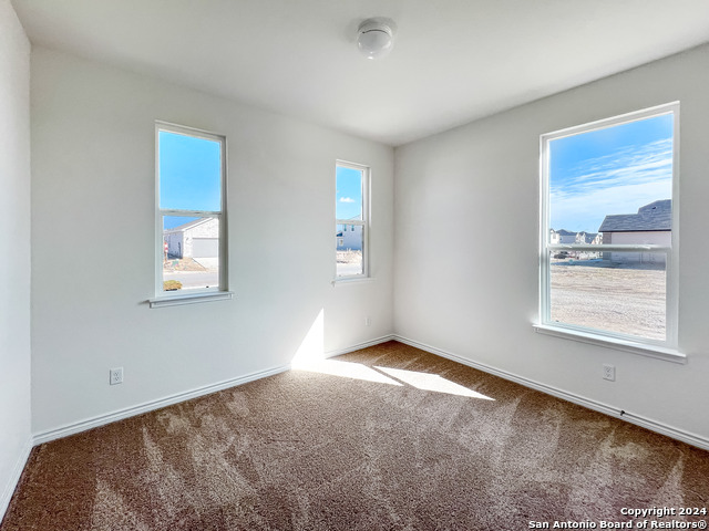 Image 13 of 25 For 14838 House Wren Fall