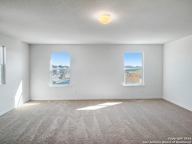 Image 15 of 25 For 14838 House Wren Fall