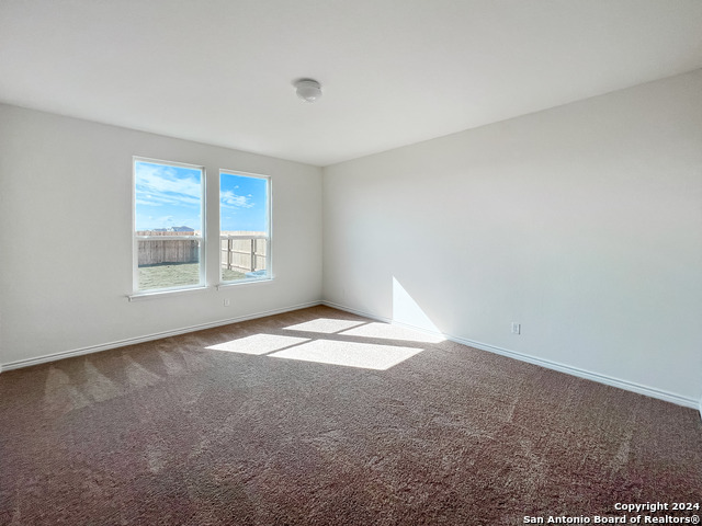 Image 19 of 25 For 14838 House Wren Fall