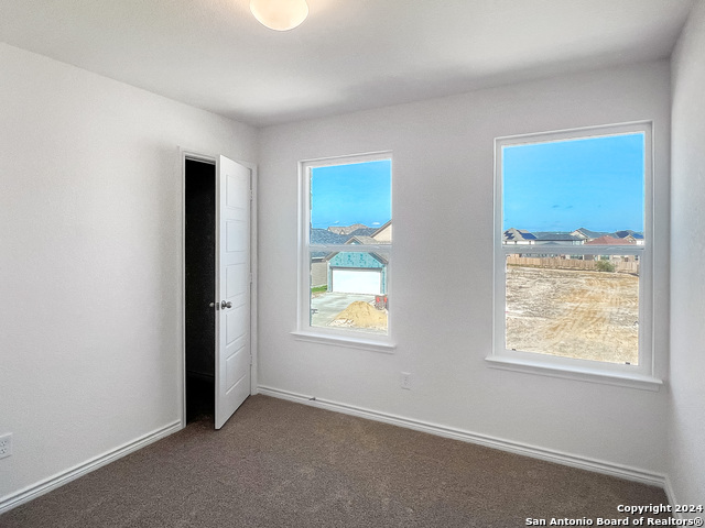 Image 20 of 25 For 14838 House Wren Fall