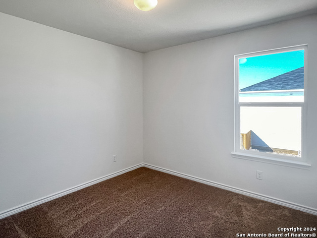 Image 22 of 25 For 14838 House Wren Fall