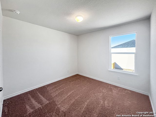 Image 23 of 25 For 14838 House Wren Fall