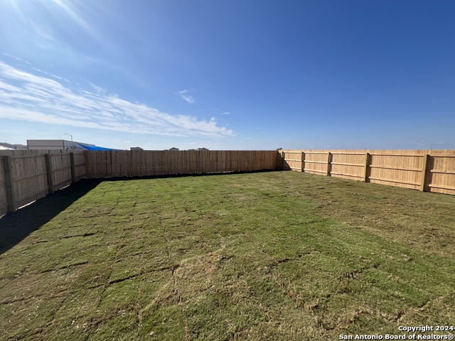 Image 24 of 25 For 14838 House Wren Fall