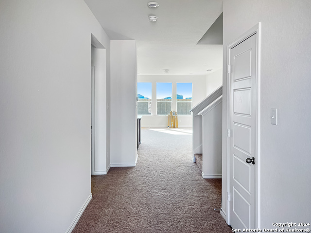 Image 4 of 25 For 14838 House Wren Fall