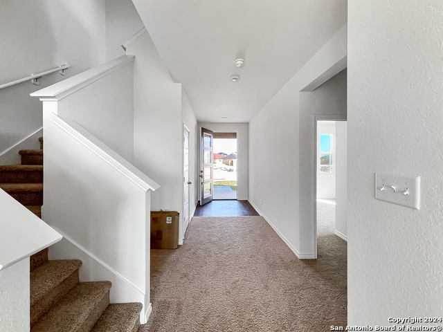 Image 5 of 25 For 14838 House Wren Fall