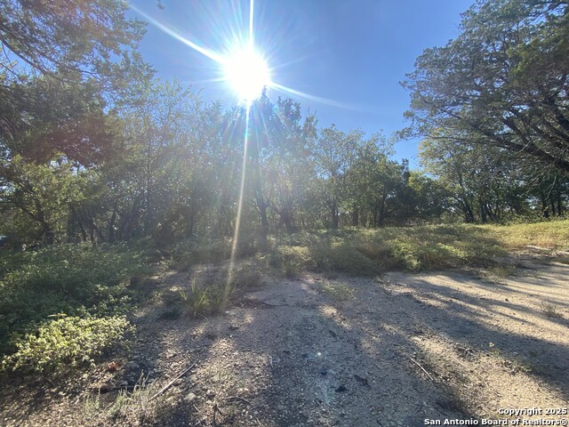 Image 42 of 47 For 3731 Flyn Y