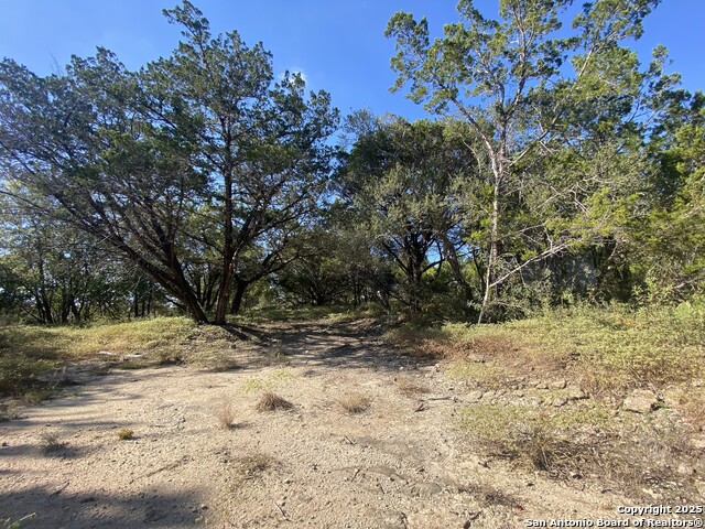 Image 43 of 47 For 3731 Flyn Y