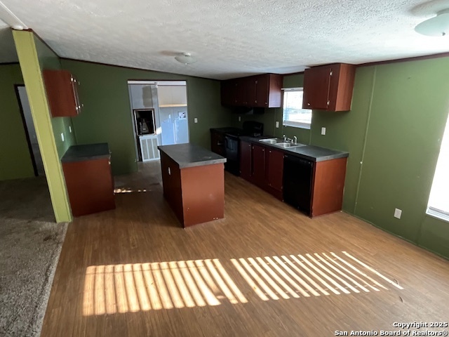 Image 6 of 13 For 14127 Pheasant