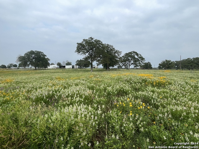 Image 7 of 12 For Tbd Hwy 123